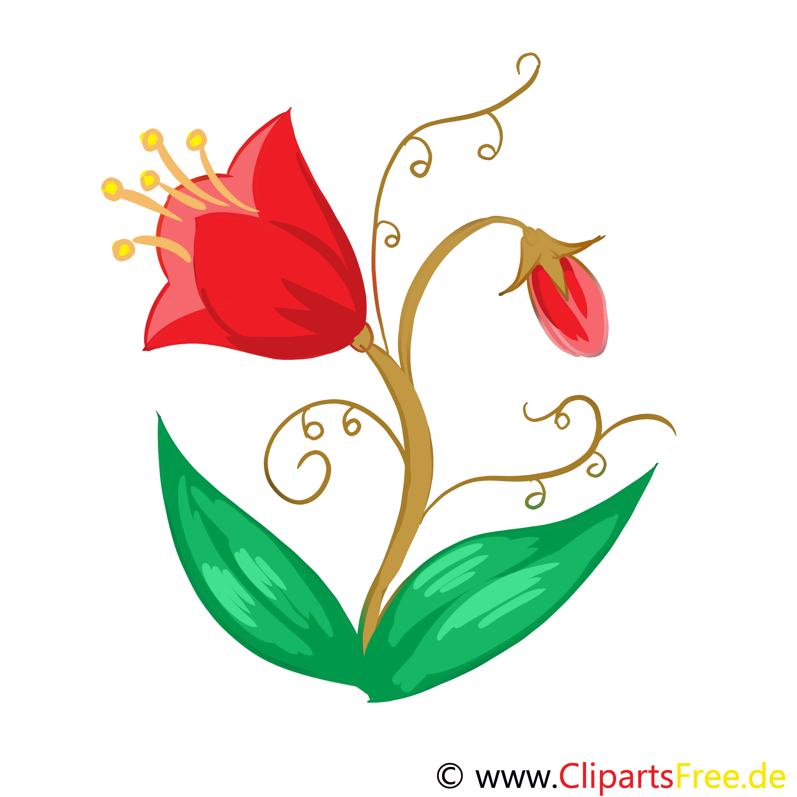 Tulipe clip art gratuit – Fleurs images