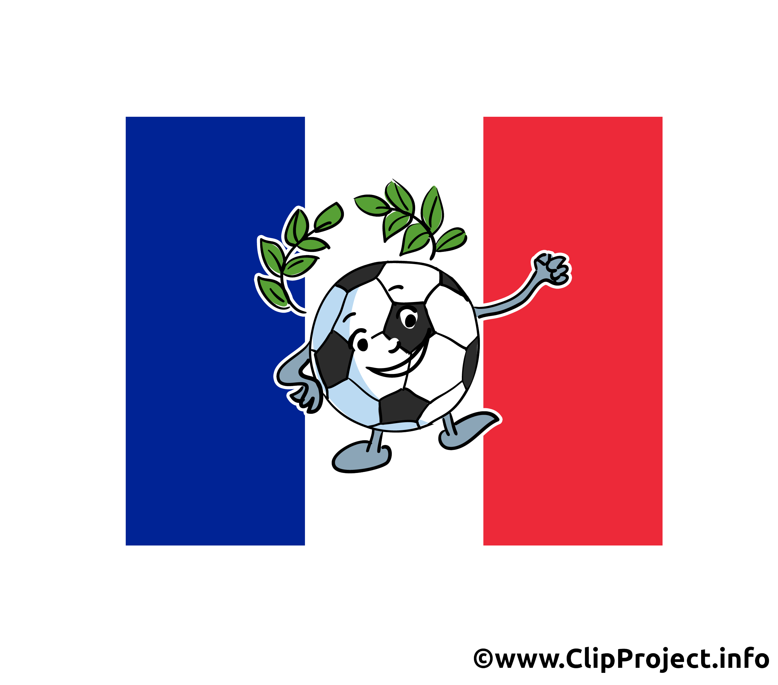Ballon de football drapeau France