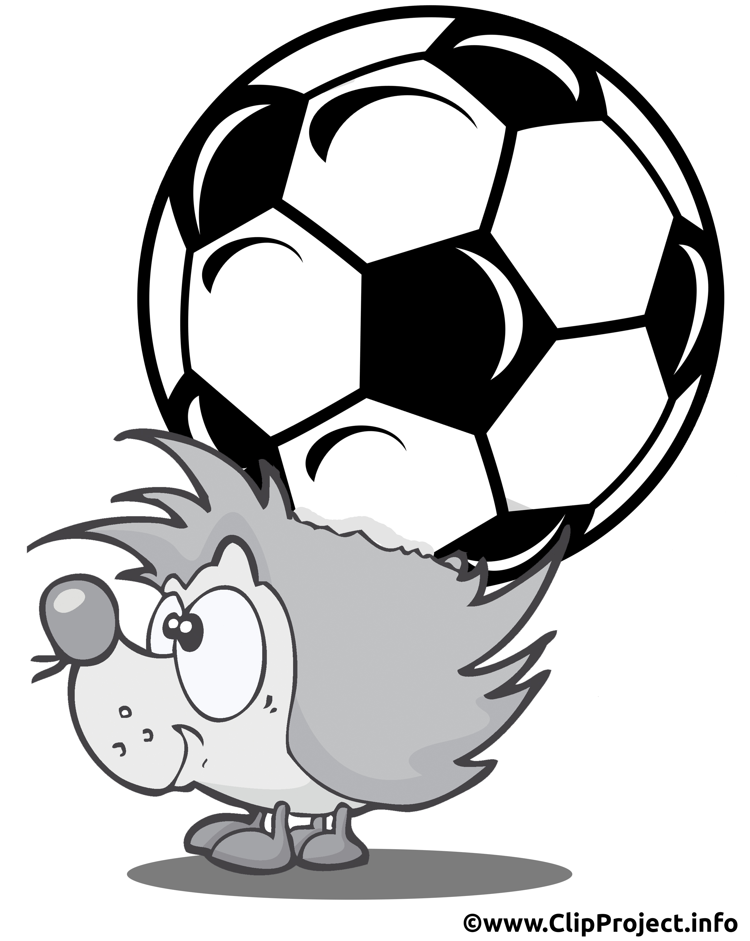 Hérisson image à télécharger - Football clipart