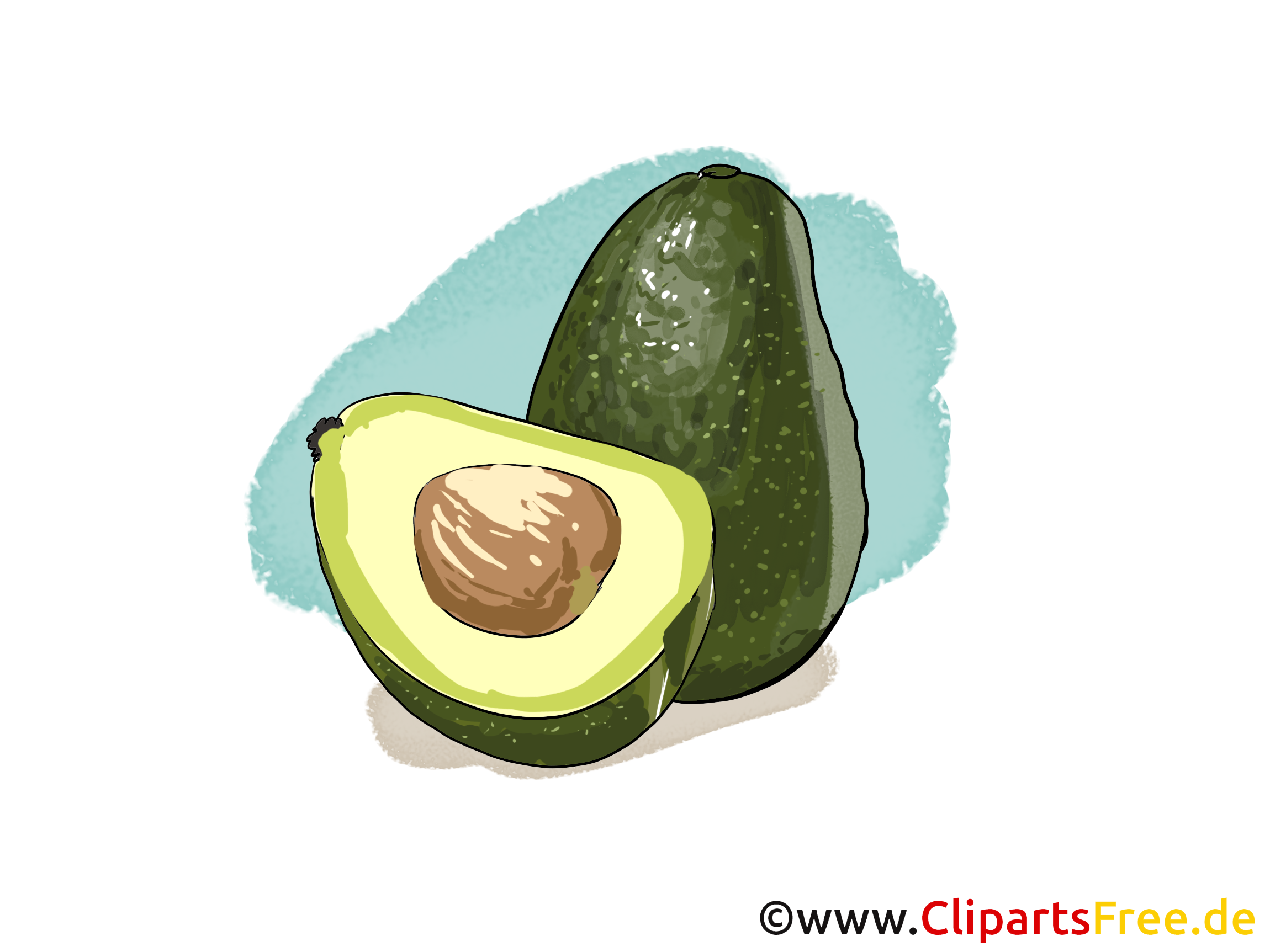Avocado dessin à télécharger - Fruits images