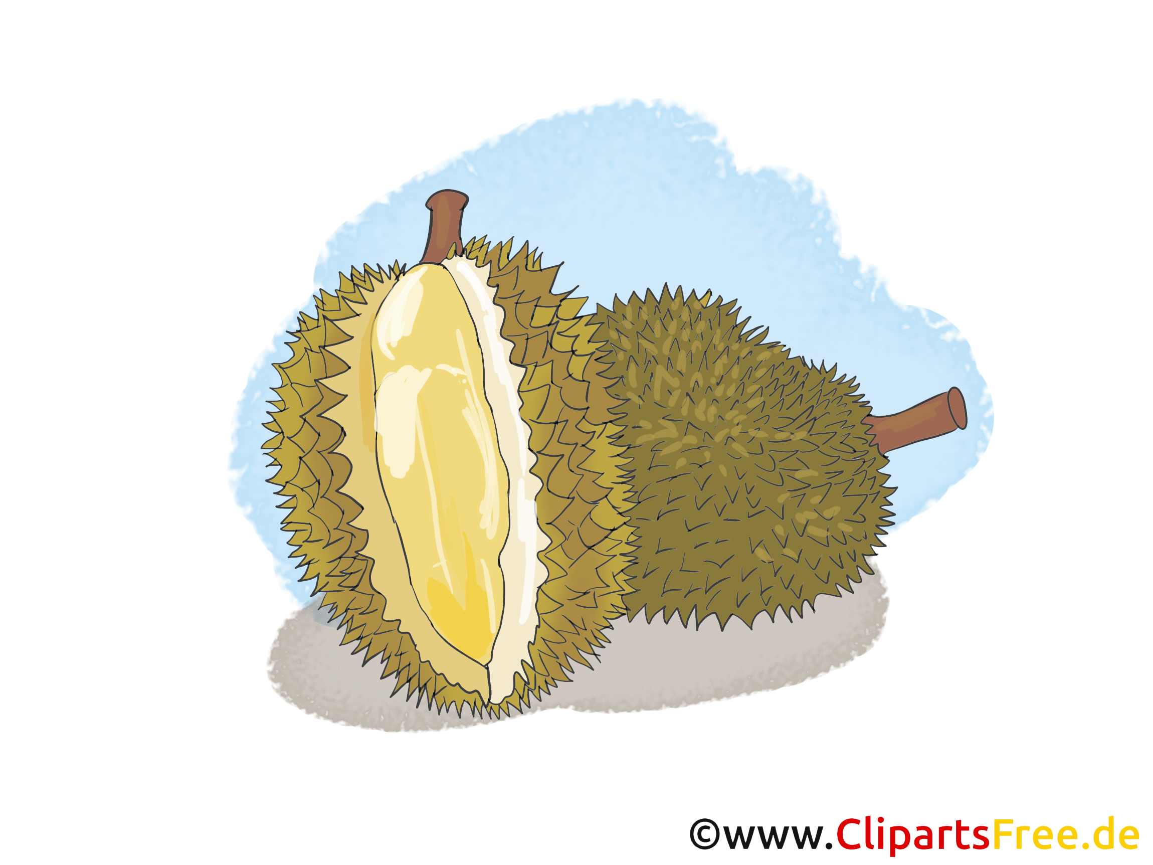 Durian fruits illustration à télécharger gratuite