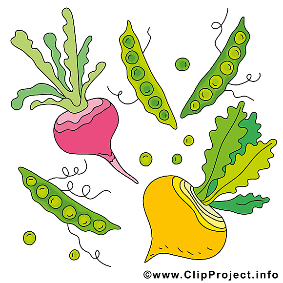 Légume images à imprimer  clipart