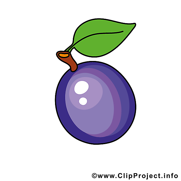 Prune image - Fruits images cliparts