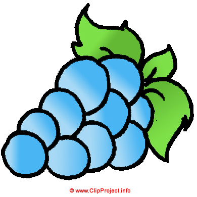 Raisin bleu clipart gratuit