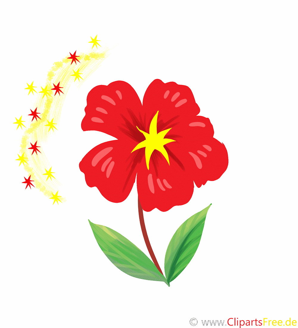 Fleur image à télécharger - Animation clipart