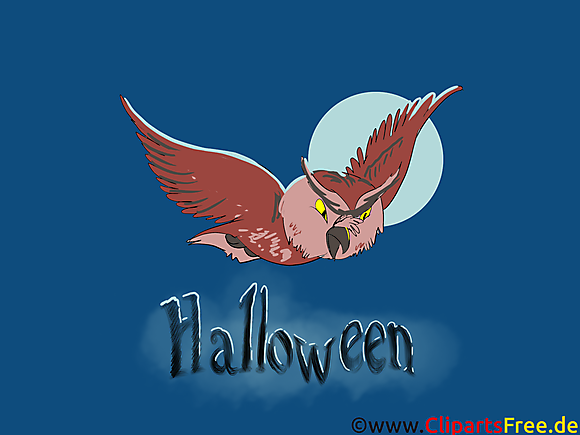 Halloween dessin -  Hibou cliparts à télécharger