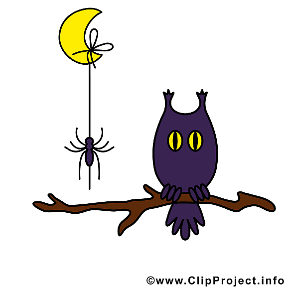 Lune hibou dessins gratuits - Halloween clipart