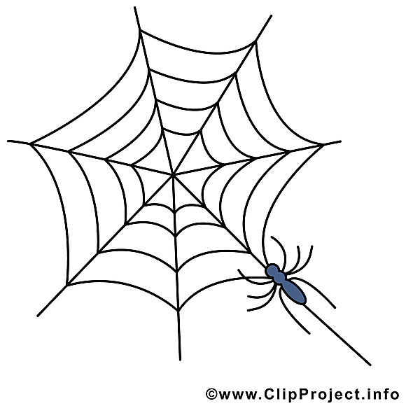 Toile d'araignée image - Halloween clipart