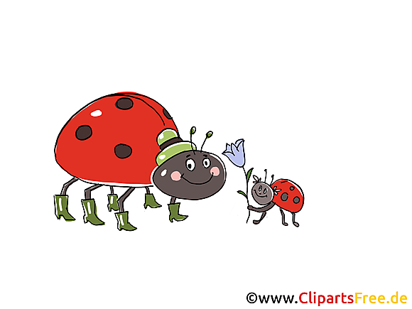 Clip arts gratuits coccinelle  illustrations