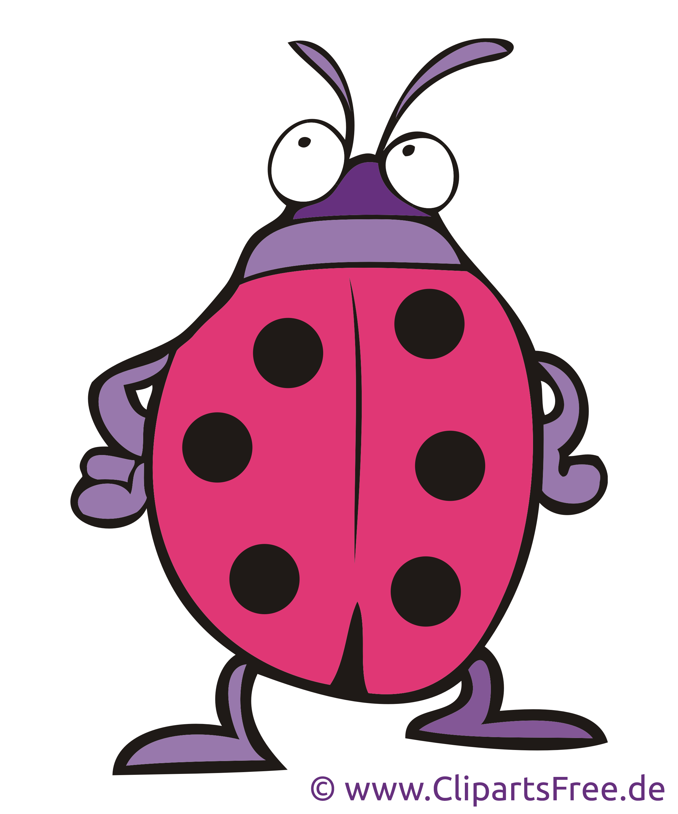 Coccinelle illustration gratuite clipart