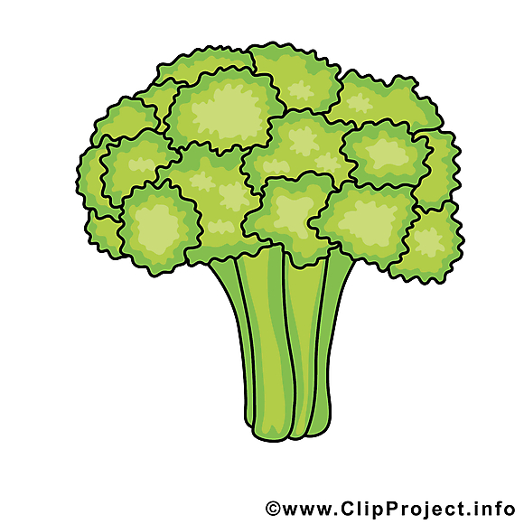Brocoli dessin - Légume cliparts à télécharger
