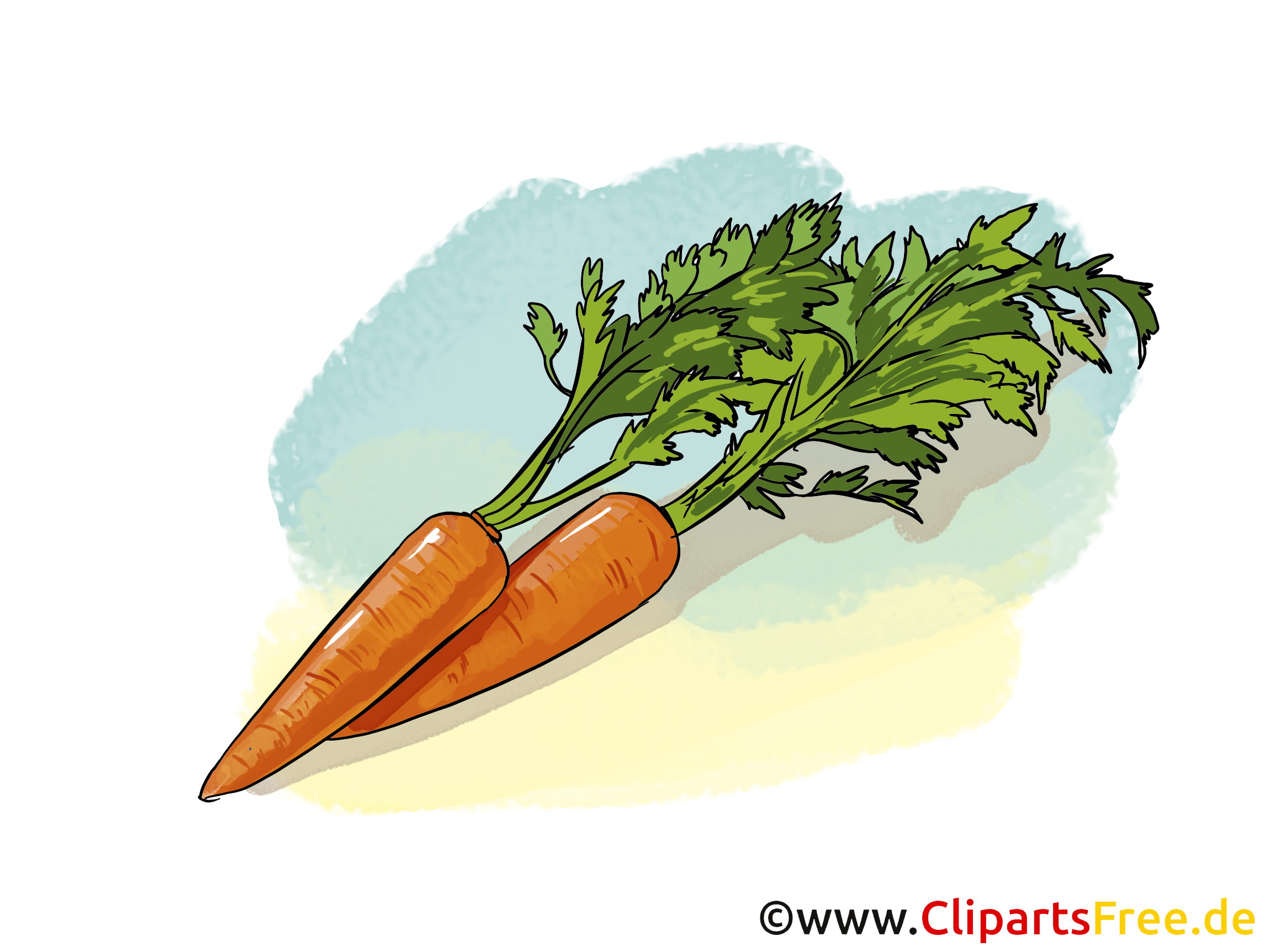 Carottes images - Légume clip art gratuit