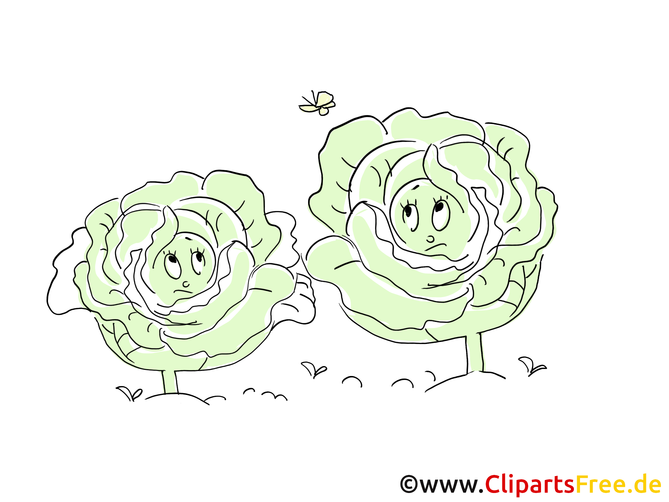 Choux images gratuites – Légume clipart