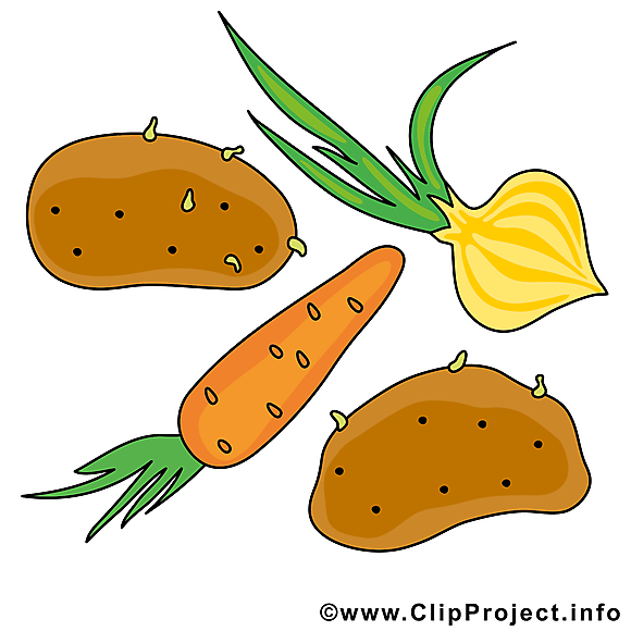 Clipart gratuit légume images