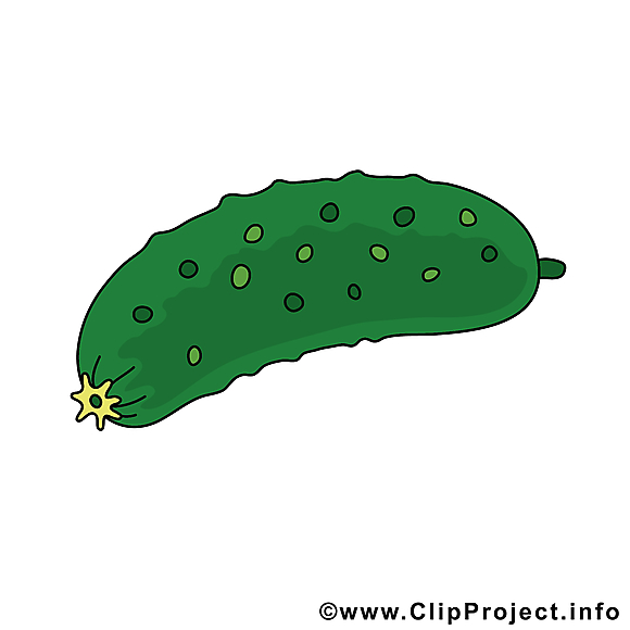 Concombre images - Légume clip art gratuit