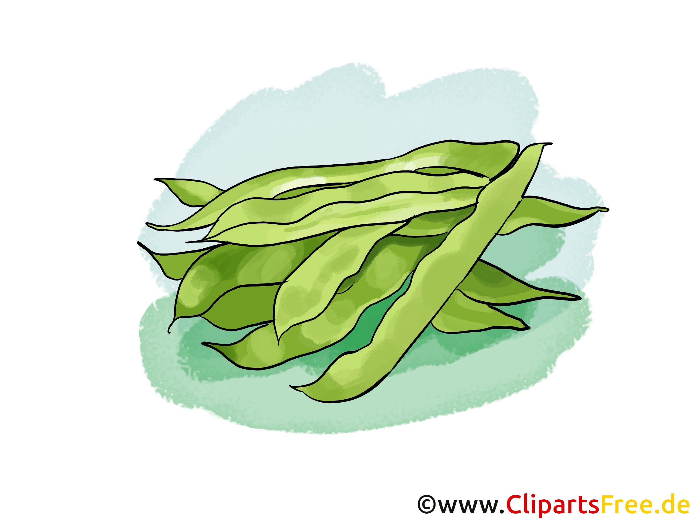 Haricot vert clip art – Légume gratuite