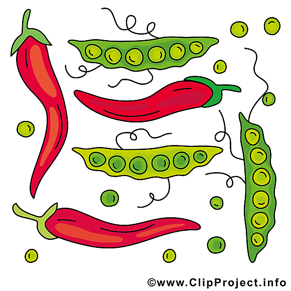 Illustration gratuite légume clipart