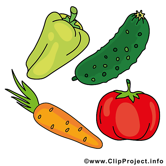 Image gratuite légume illustration