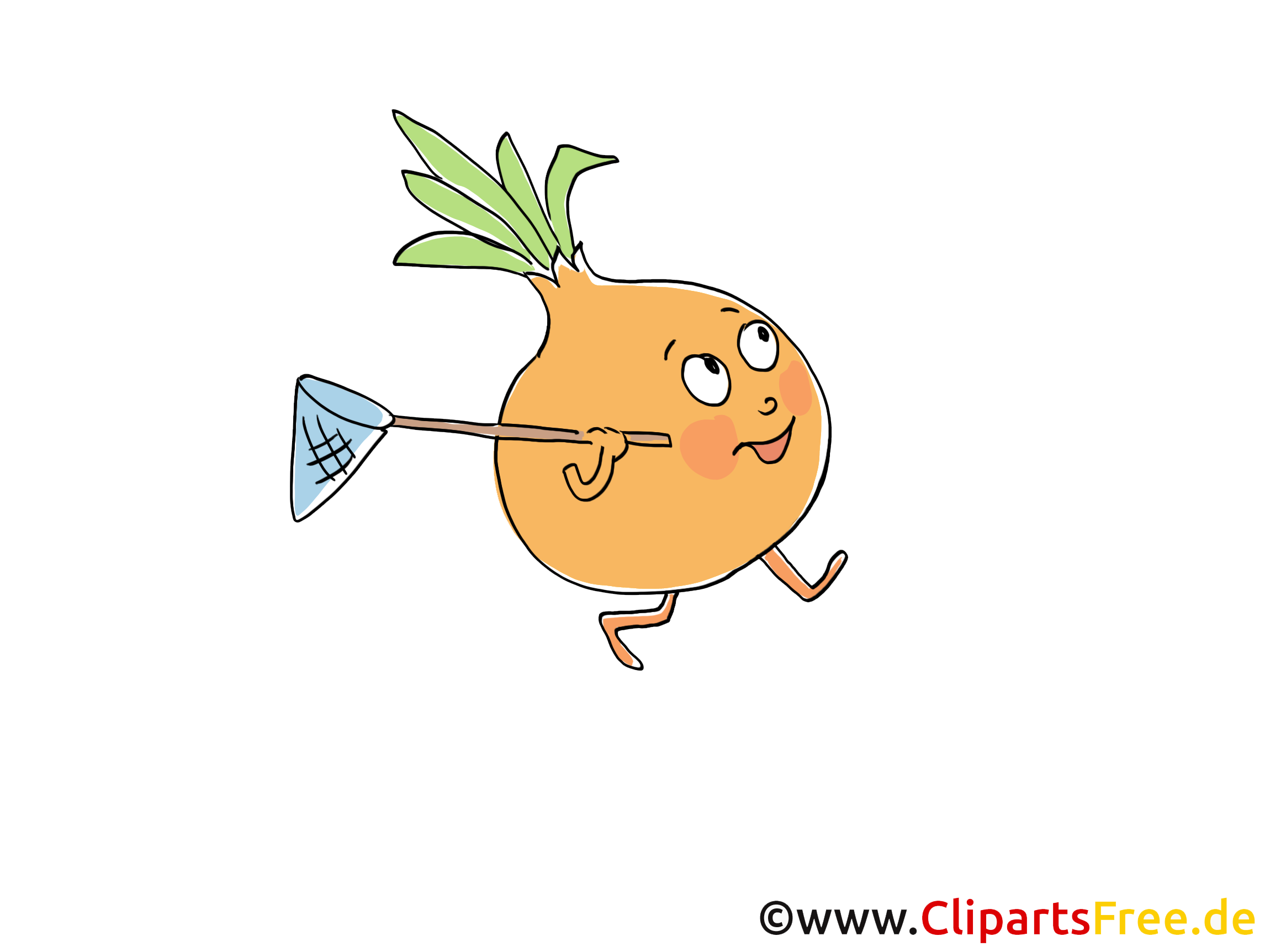 Oignon clip art gratuit – Légume images