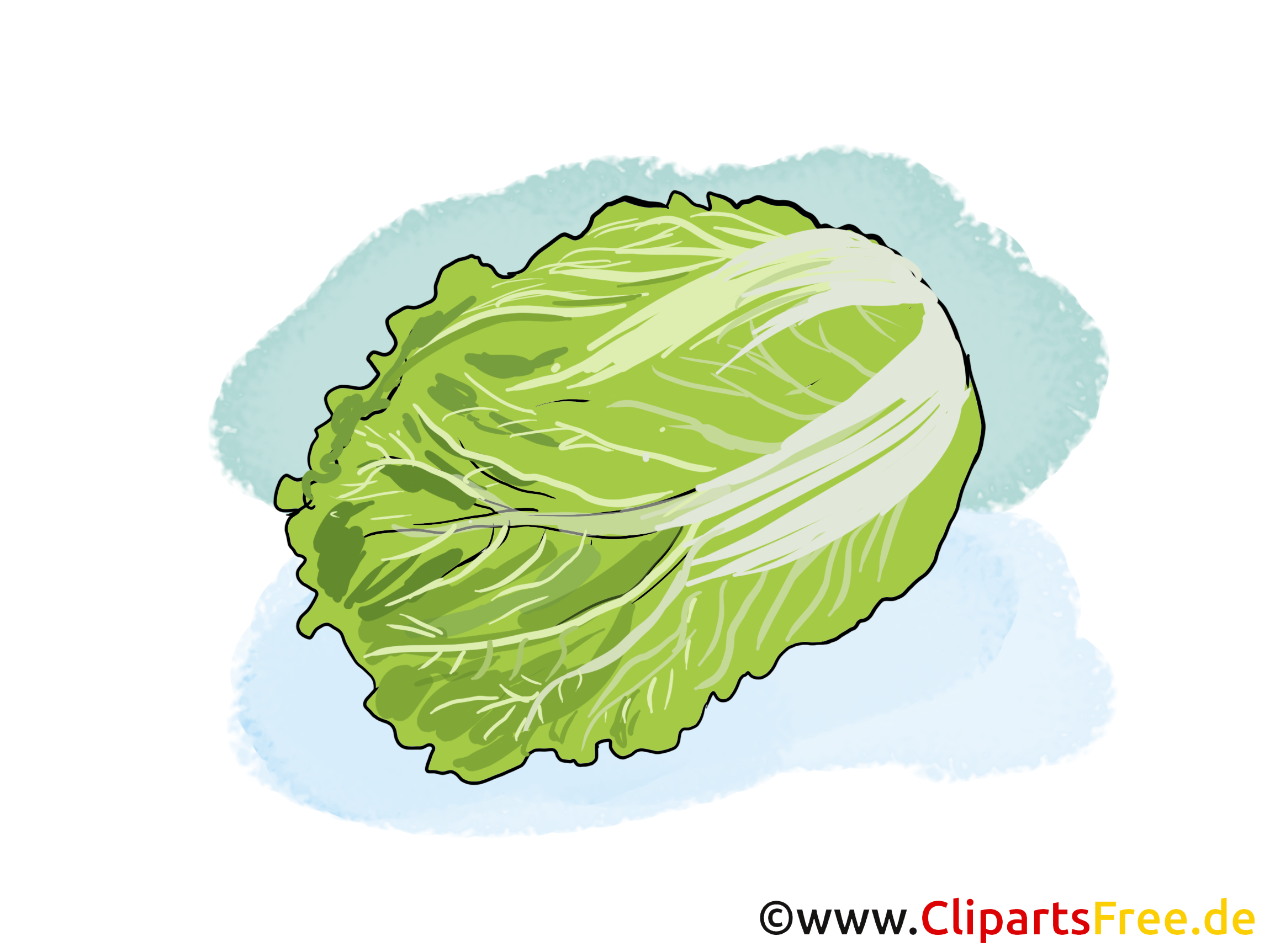 Salade clip art gratuit - Légume dessin