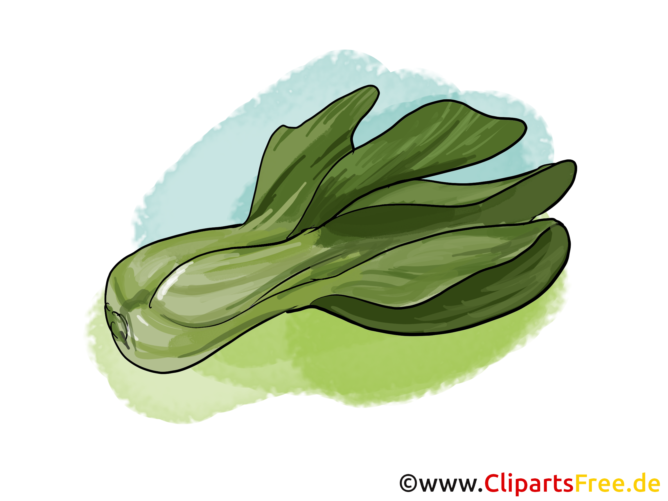 Salade dessin - Légume cliparts à télécharger