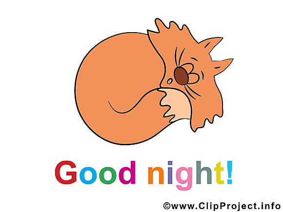 Image gratuite chat – Bonne nuit clipart