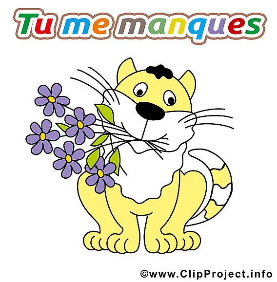 Chat fleurs illustration - Déclaration d'amour images gratuites