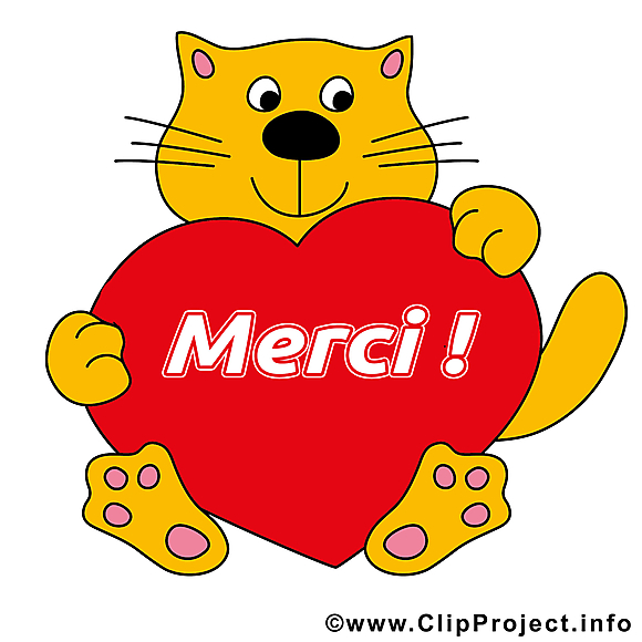 Chat coeur illustration - Merci images