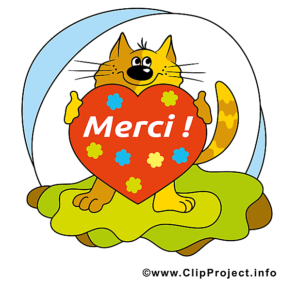 Chat coeur illustration gratuite - Merci clipart