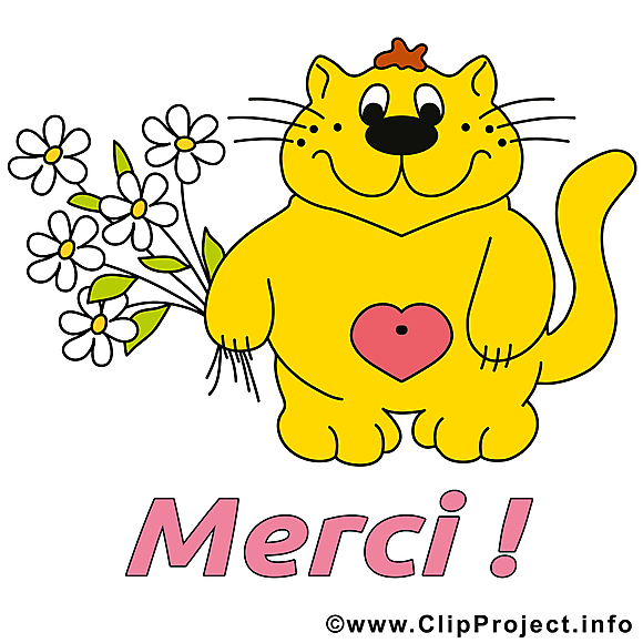 Chat dessin - Merci clip arts gratuits