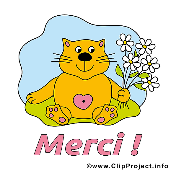 Chat image à télécharger - Merci clipart