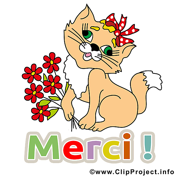 Chat images - Merci clip art gratuit