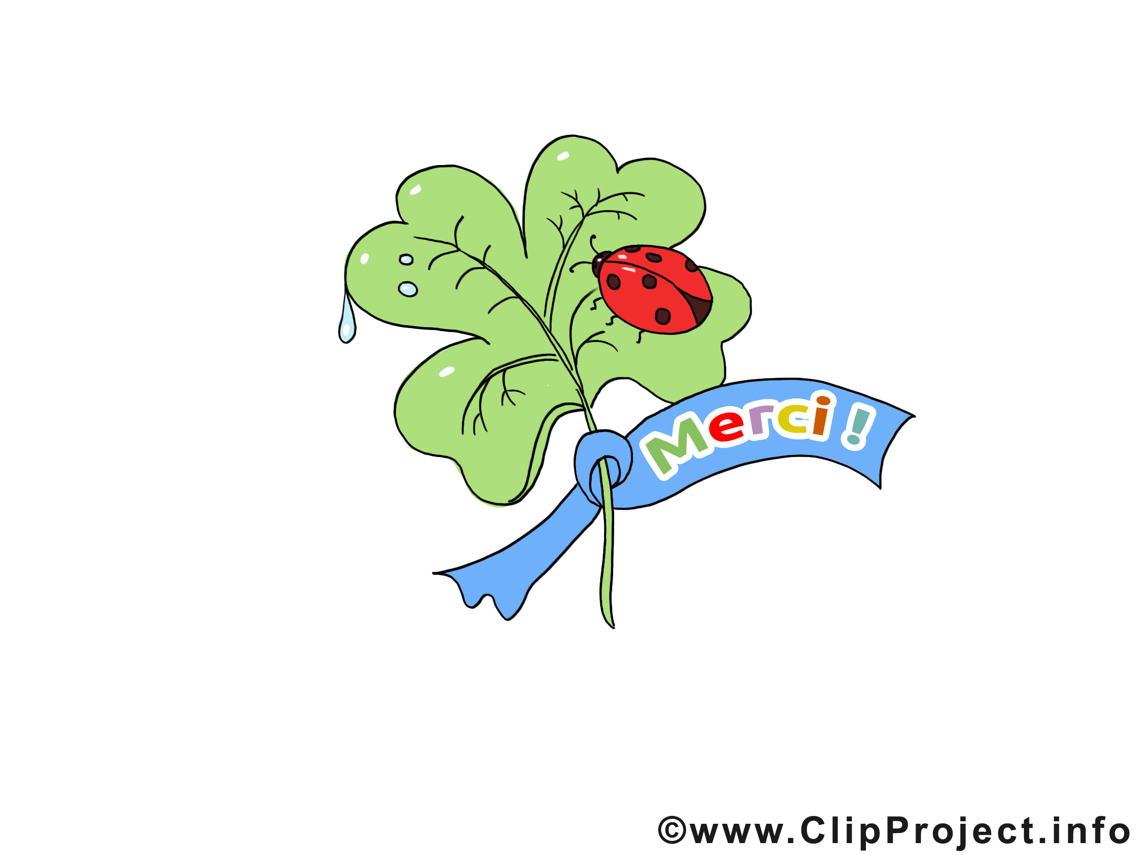 Coccinelle clipart gratuit - Merci images