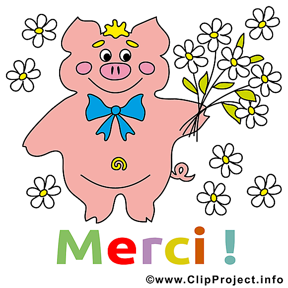 Cochon dessins gratuits - Merci clipart