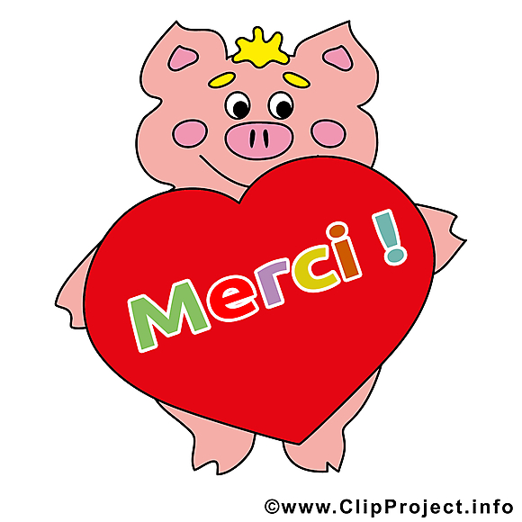 Cochon image gratuite - Merci illustration