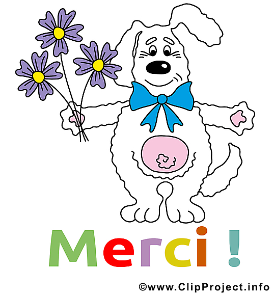 Lièvre illustration - Merci images