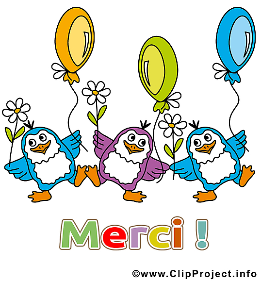 Pingouin clipart gratuit - Merci images