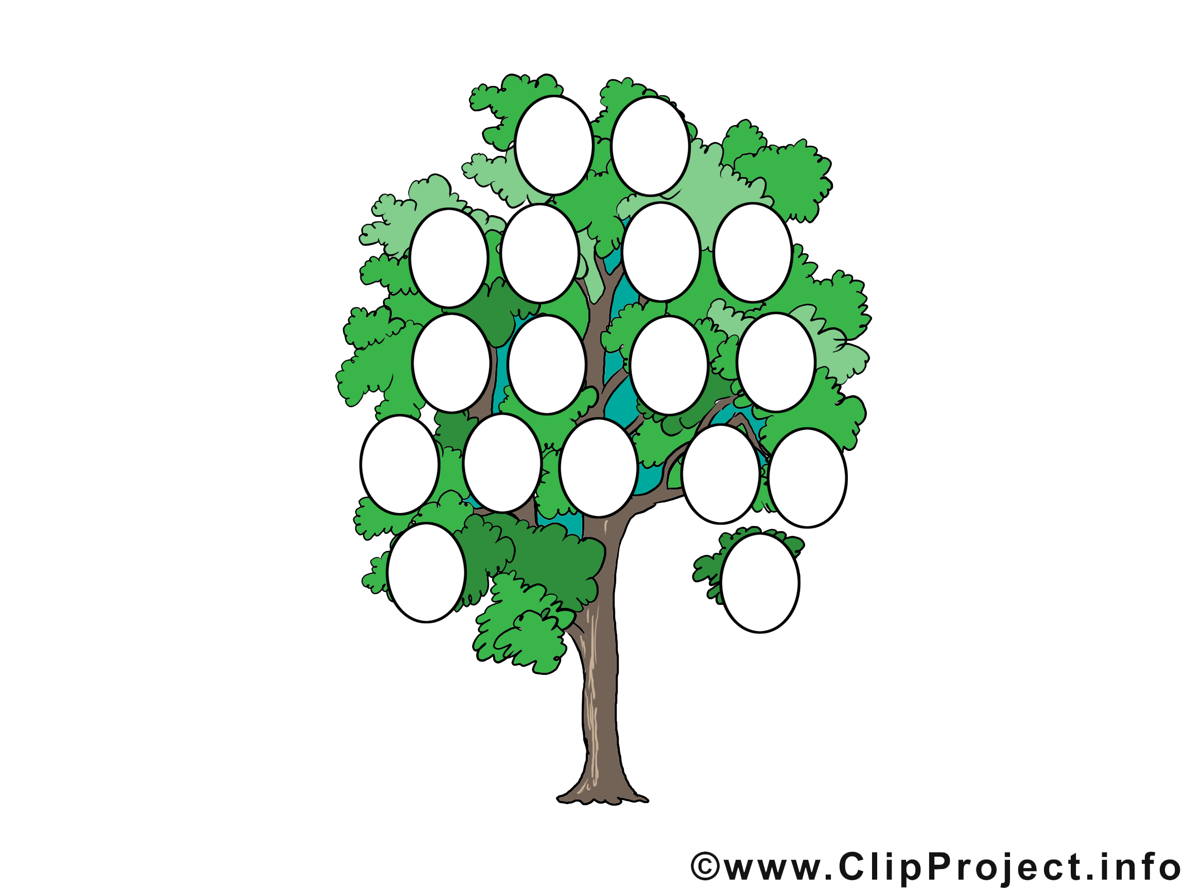 Arbre généalogique image gratuite clipart