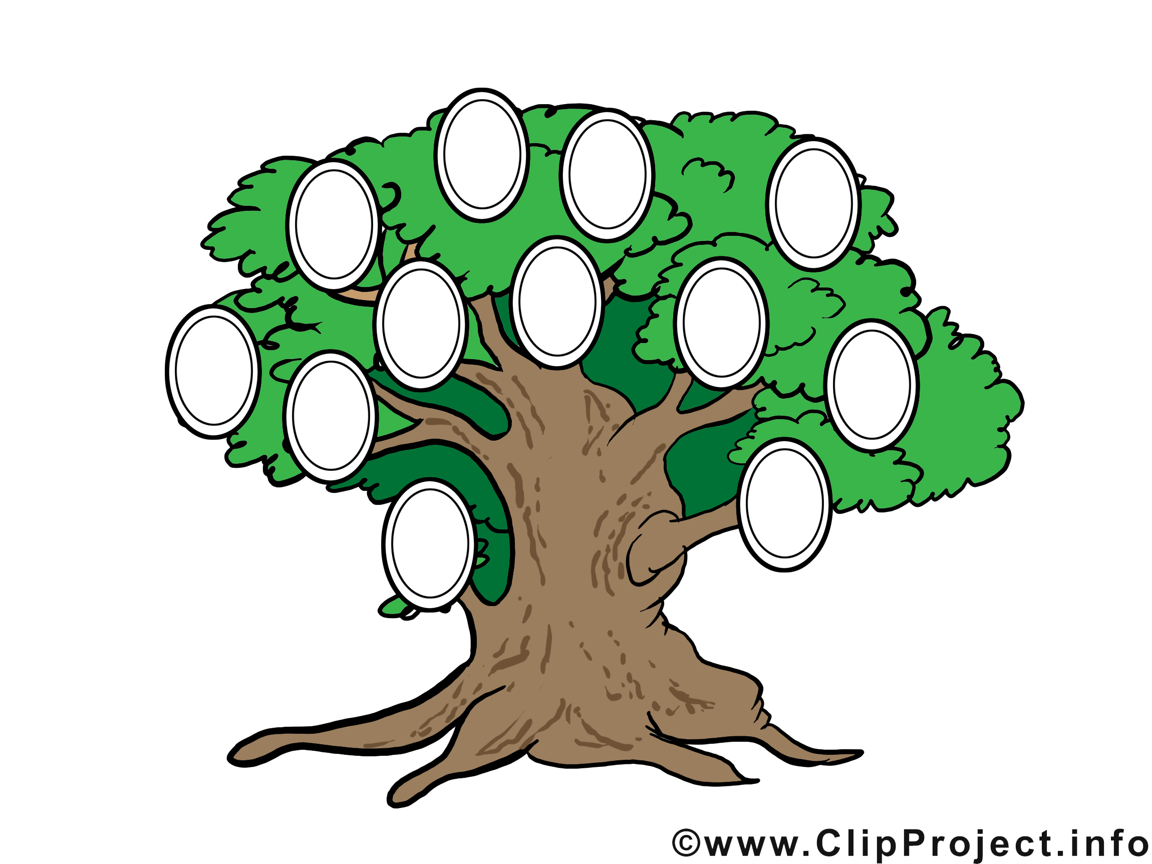 Clip arts gratuits arbre généalogique illustrations