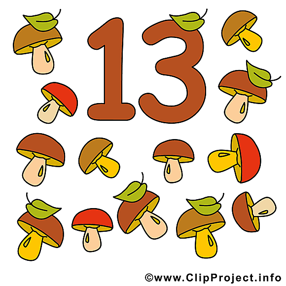 13 champignons image - Nombre illustration