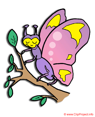 Papillon clipart pour le printemps