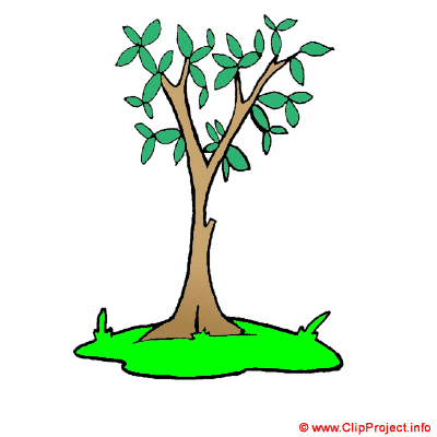 Arbre clipart gratuit