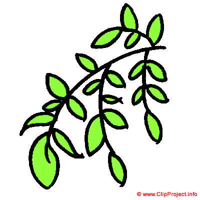 Branche image clipart gratuite