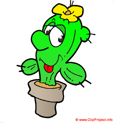 Cactus clipart gratuit