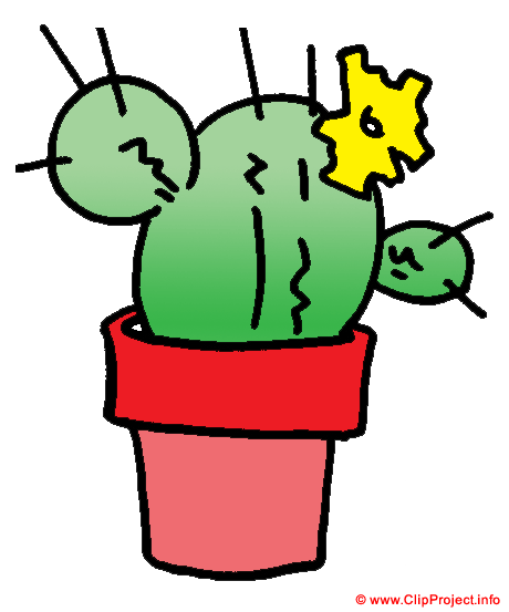Cactus image clipart gratuit