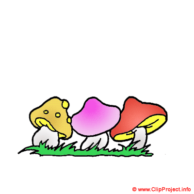 Champignons clipart gratuit