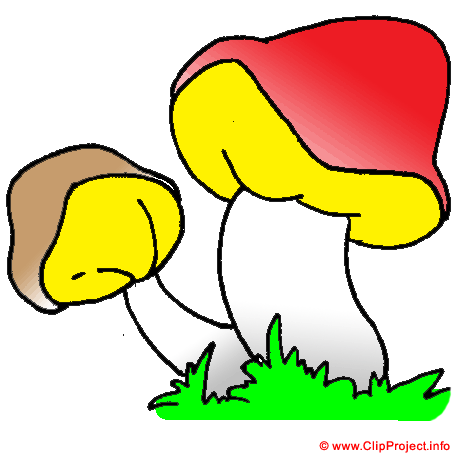 Champignons image clipart gratuit