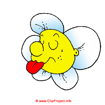 Marguerite image clipart gratuit