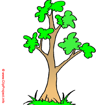 Peuplier image clipart gratuit Peuplier image clipart gratuit