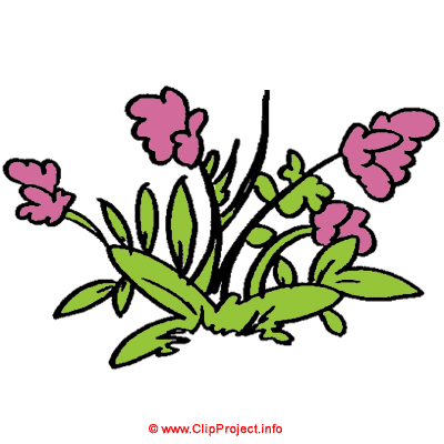 Plantes image clipart gratuit